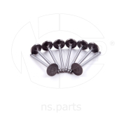 NSP N * * * 6