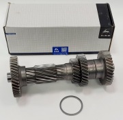GAZ 31101701310