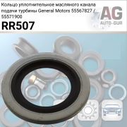 Auto-GUR RR507