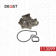 DEQST 113099