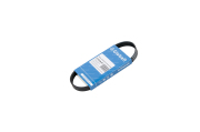 Globelt 6PJ559