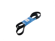 Globelt 8PK2166