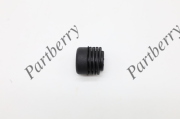 PARTBERRY P * * * 1