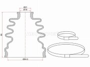Sat C1138