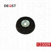 DEQST 123009