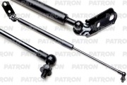 PATRON PGS100057