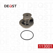 DEQST 113001