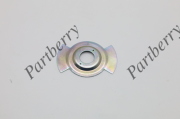 PARTBERRY PB587302