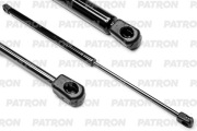PATRON PGS934259