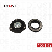 DEQST 123135
