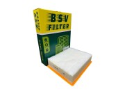 BSV BSV48058011