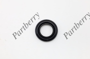 PARTBERRY PB132922