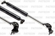 PATRON PGS100085