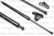 PATRON PGS100070