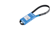 Globelt 6PK823ELAST