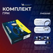 Michelin FM030581