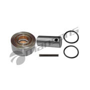 Mansons CK1017