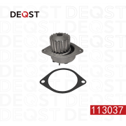 DEQST 113037