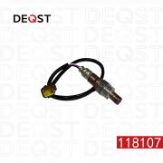 DEQST 118107
