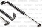 PATRON PGS100031