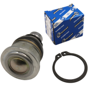 Riginal RG23996