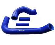CARUM 3151951303010