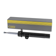 GANZ GIK02893
