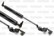 PATRON PGS100084