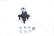 ZF Russia 2999902ZFR