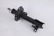 ZF Russia 313480ZFR