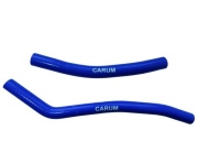 CARUM 1 * * * 0