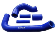 CARUM 3 * * * 1