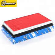 Riginal RG1100027