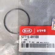 Hyundai-KIA 577194H100