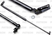 PATRON PGS100036