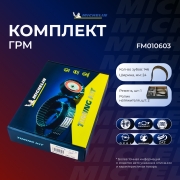 Michelin FM010603
