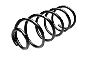 Standard Springs ST102002F