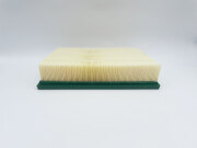 BIG FILTER GB9572 