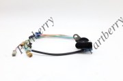 PARTBERRY PB110700