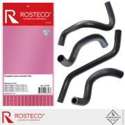 Rosteco 21197