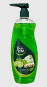 Master FRESH 4620739981836