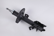 ZF Russia 3 * * * R