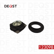 DEQST 123098