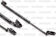 PATRON PGS100069