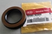 Hyundai-KIA 4 * * * 0