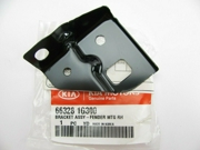 Hyundai-KIA 663281G300